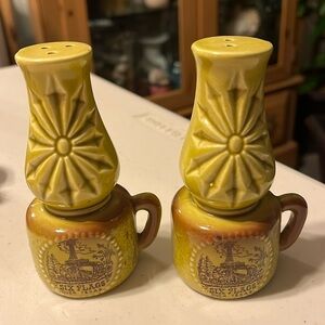 Six Flags salt and pepper shakers Texas really good shape.